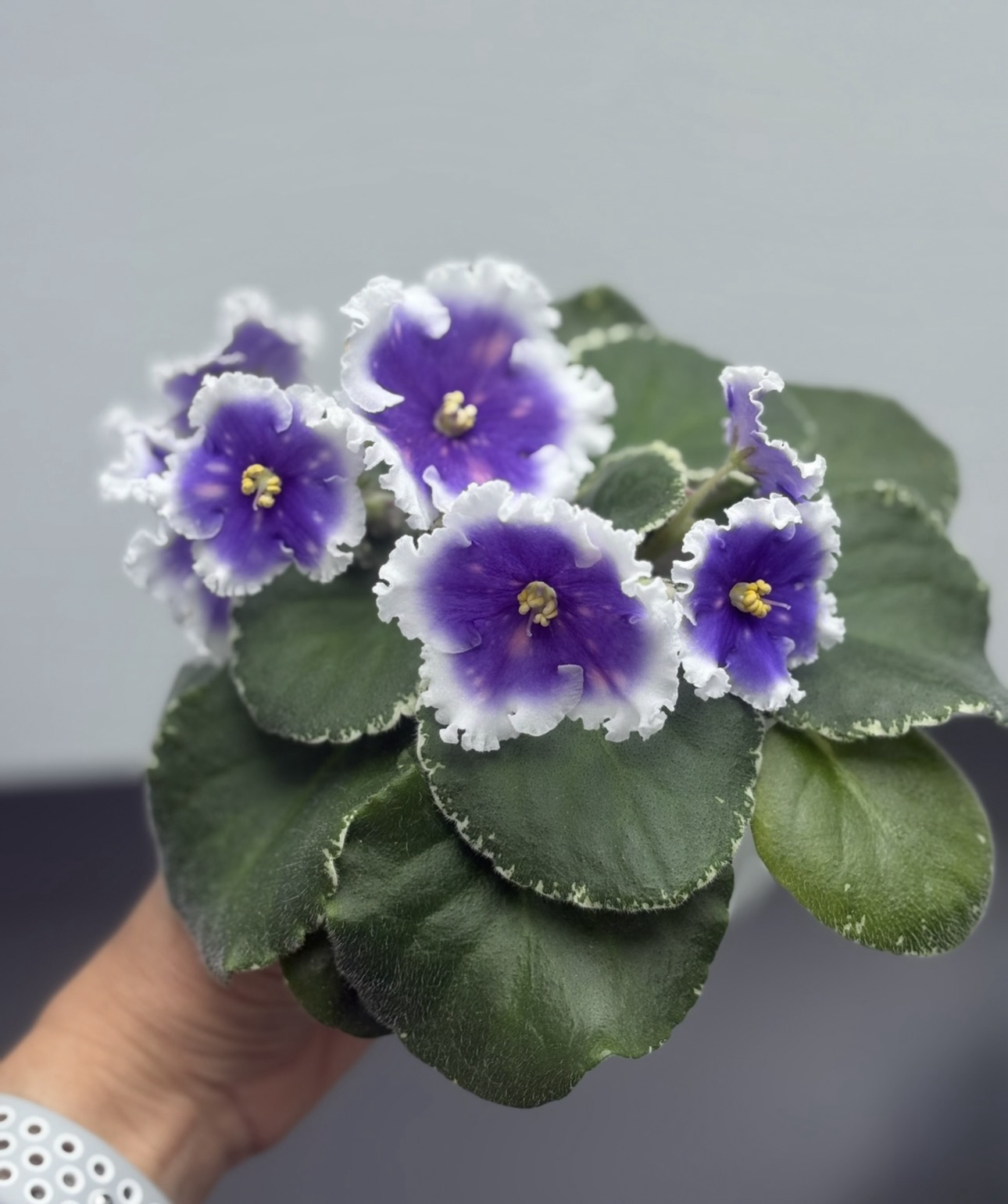 Снимок 18.03.2026 в 18.07 (1)