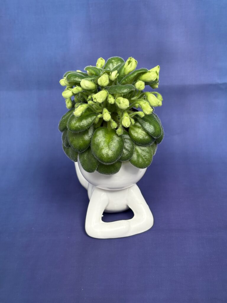 Emerald Bell