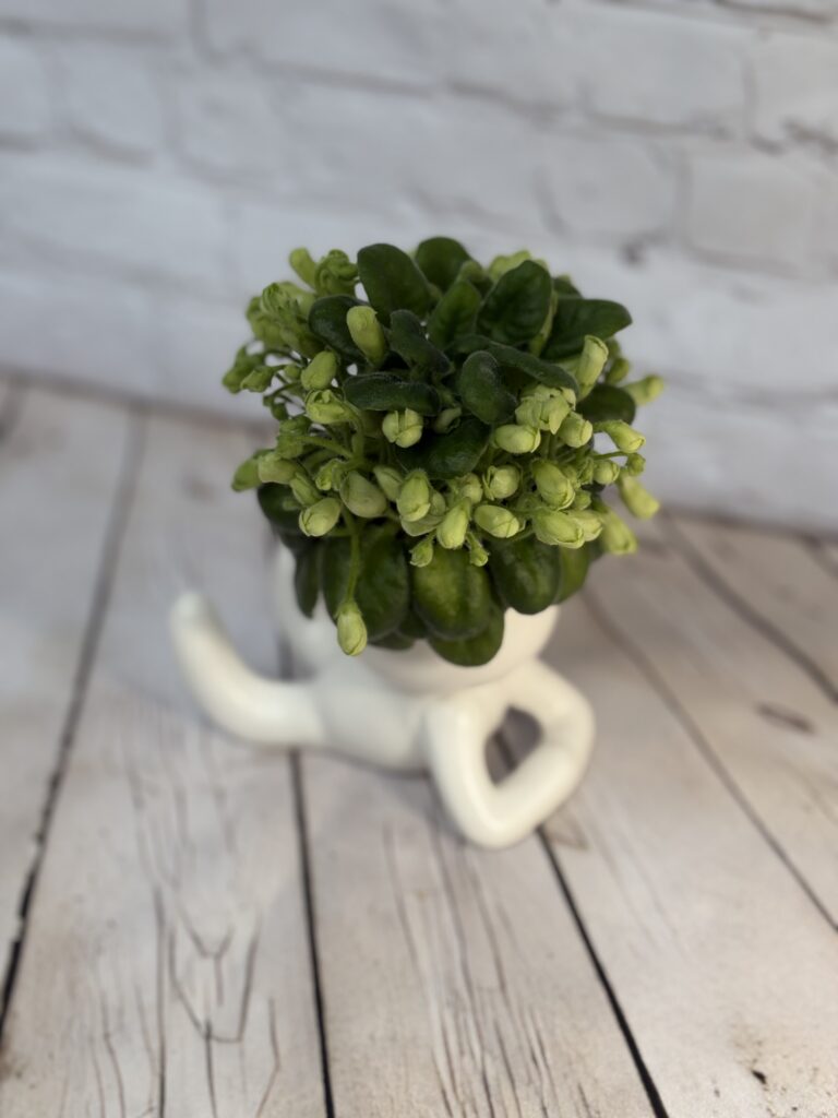 Emerald Bell