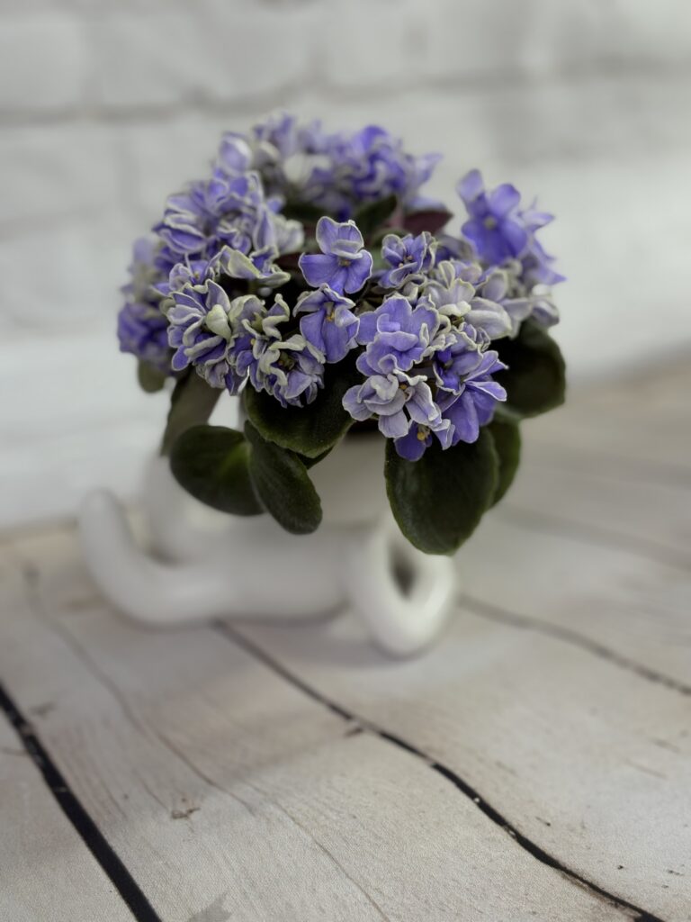 Hodss Hugge