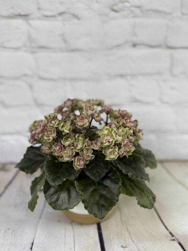 Morgans Chutney Popcorn
