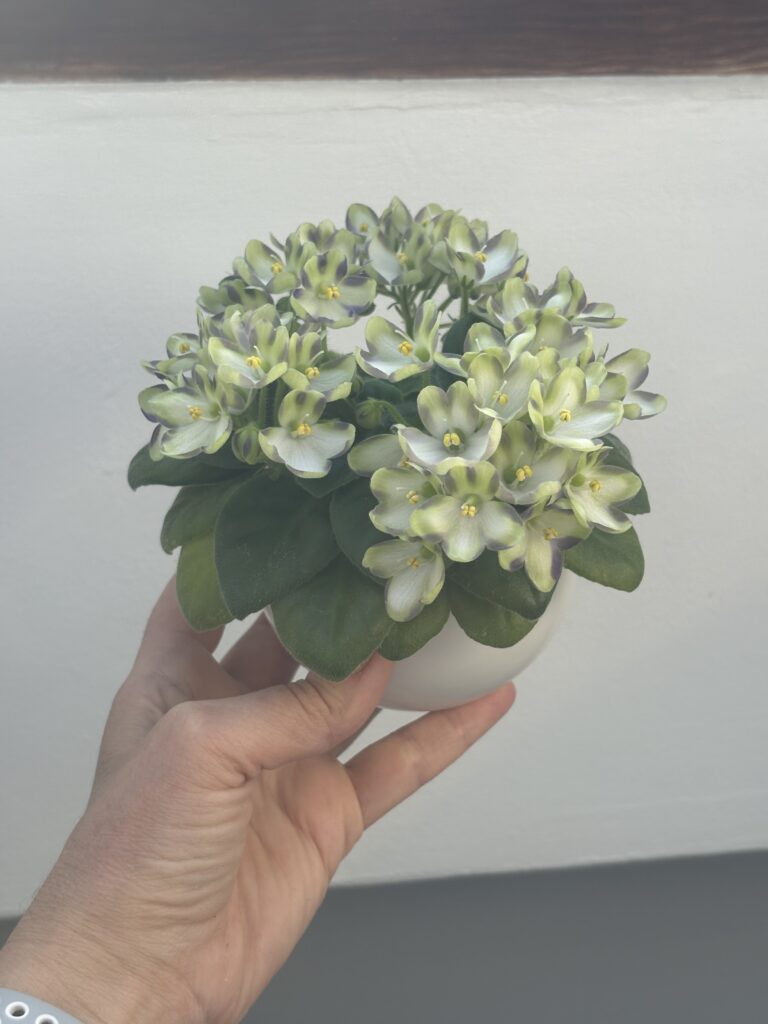 Марина Цветаева