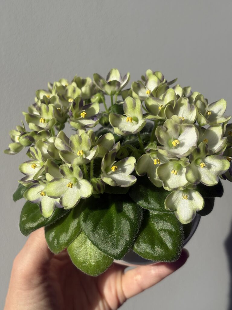 Марина Цветаева