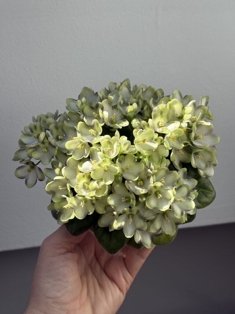 Марина Цветаева
