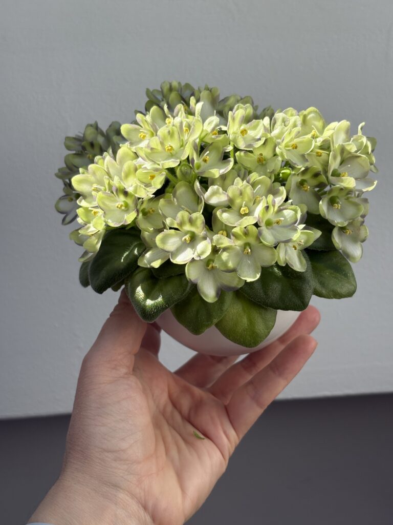 Марина Цветаева