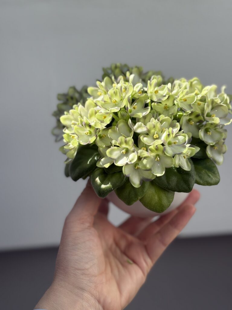 Марина Цветаева