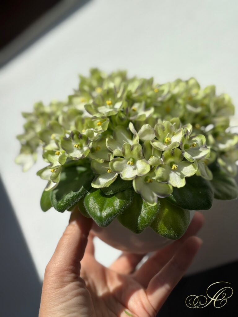 Марина Цветаева