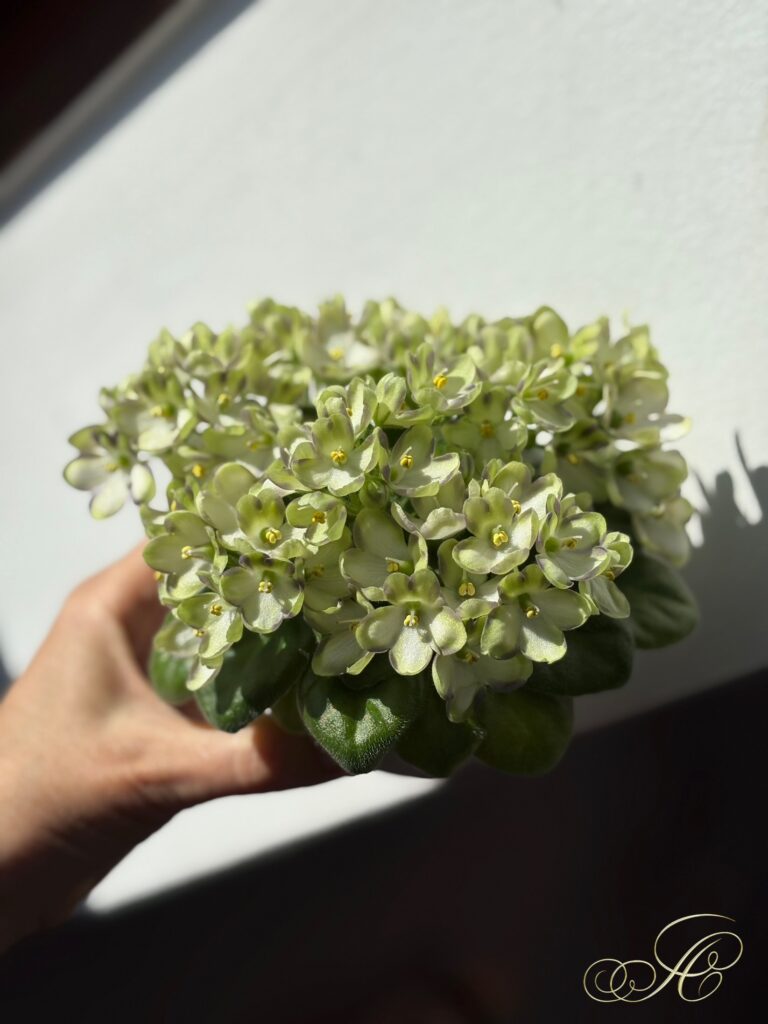 Марина Цветаева