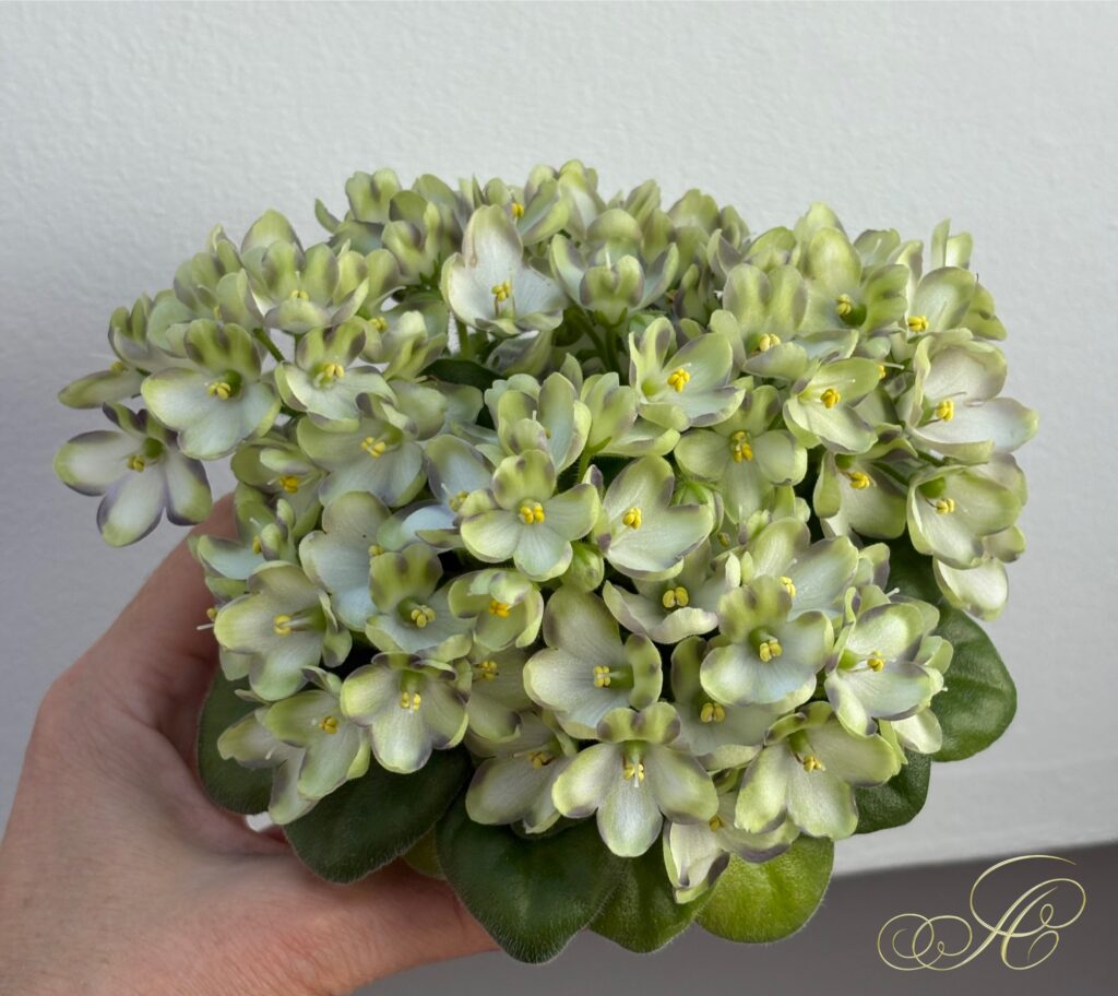 Марина Цветаева