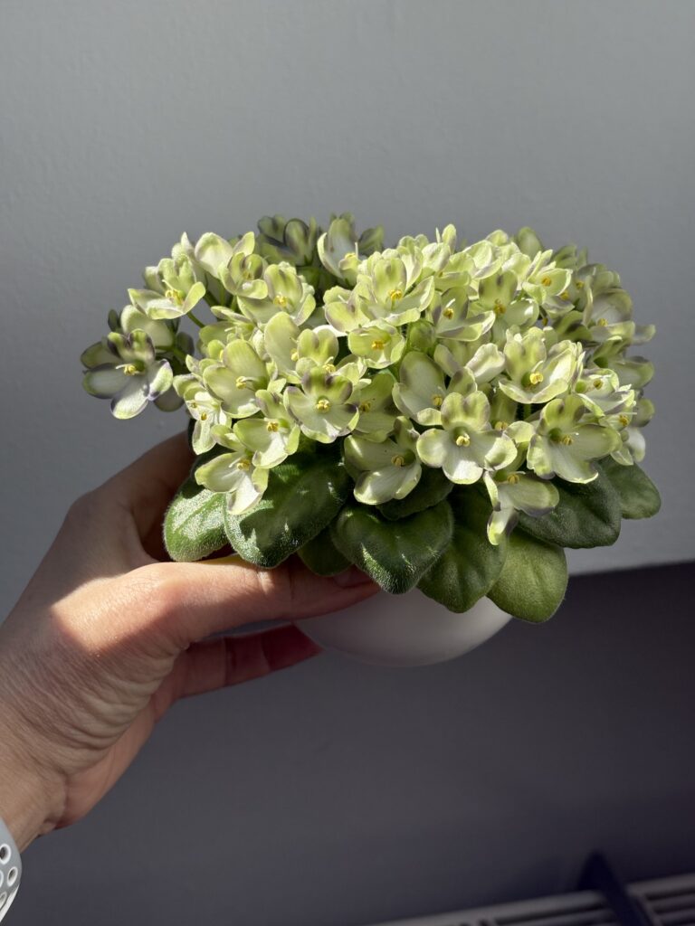 Марина Цветаева