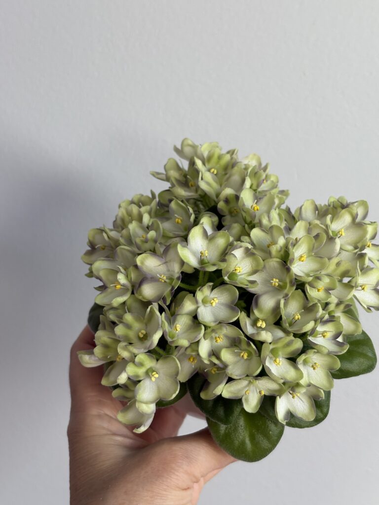 Марина Цветаева