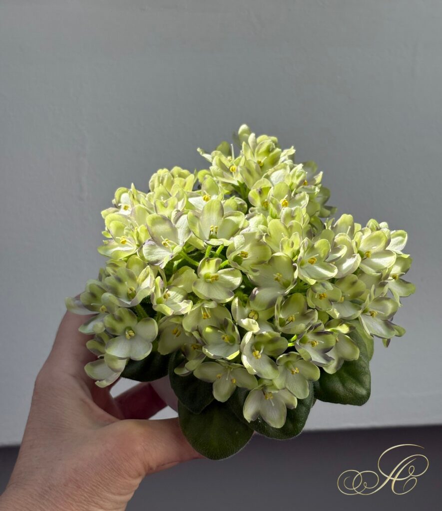 Марина Цветаева