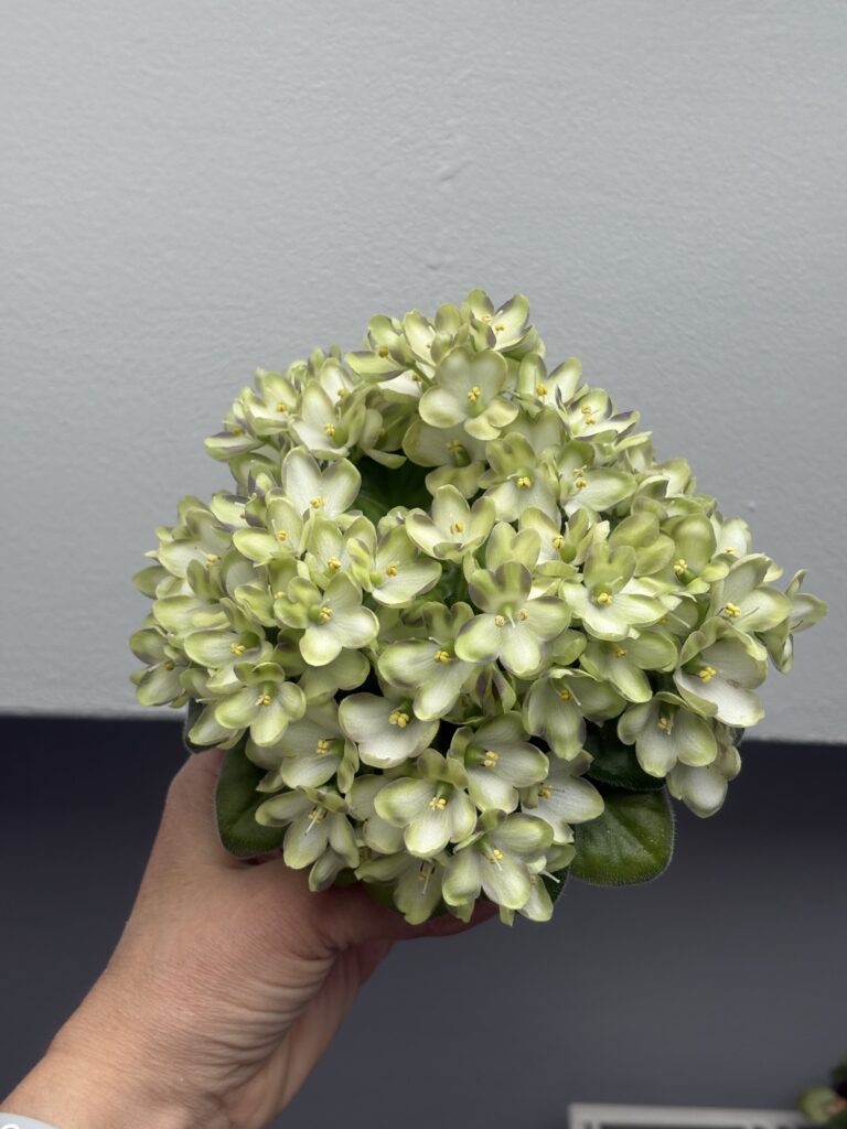 Марина Цветаева