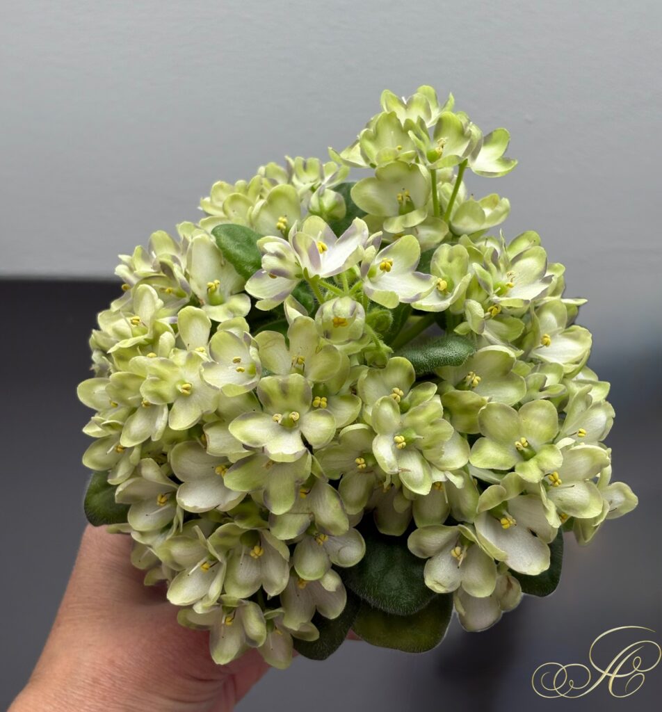 Марина Цветаева