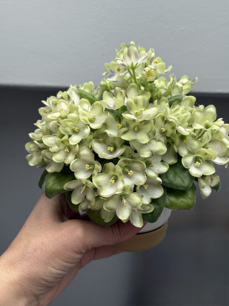 Марина Цветаева