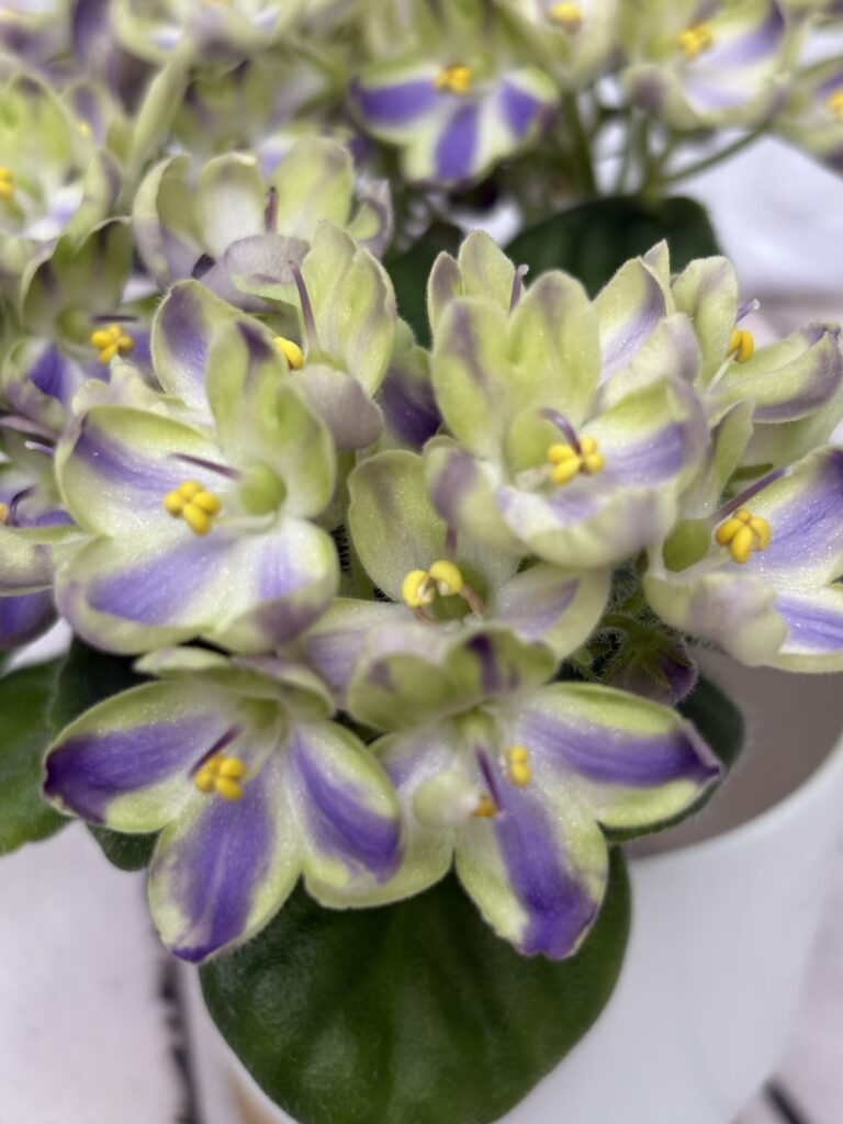 Плюшевый Зайка